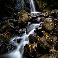 Buy canvas prints of Hause Gill Falls by Phil Buckle