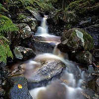 Buy canvas prints of Cat Gill Falls by Phil Buckle