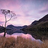 Buy canvas prints of Lone Tree Calm by Phil Buckle