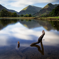 Buy canvas prints of Submerged at Brothers Water by Phil Buckle