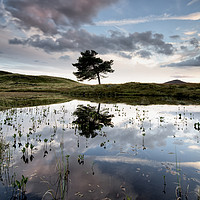 Buy canvas prints of Kelly Hall Tarn by Phil Buckle