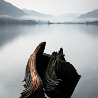 Buy canvas prints of Misty Ullswater Stump by Phil Buckle