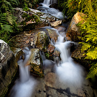 Buy canvas prints of Cinderdale Beck by Phil Buckle