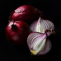 Buy canvas prints of Red Onions by Phil Buckle