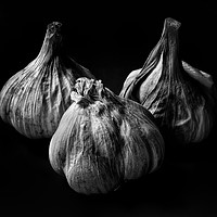 Buy canvas prints of Garlic Bulbs Black and White by Phil Buckle