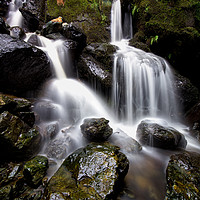 Buy canvas prints of Ladore Falls Wet Rocks by Phil Buckle