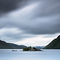 Buy canvas prints of Norfolk Island Blues by Phil Buckle