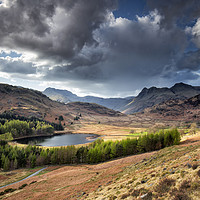 Buy canvas prints of Blea Tarn and Langdale Pikes by Phil Buckle
