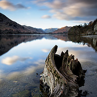 Buy canvas prints of Mossdale Bay Stump Calm by Phil Buckle