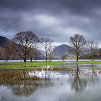 Buy canvas prints of Buttermere Puddle by Phil Buckle