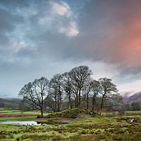 Buy canvas prints of River Brathay Copse Sunrise by Phil Buckle