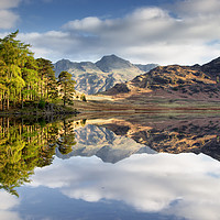 Buy canvas prints of The Langdale Pikes Reflecting by Phil Buckle