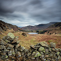 Buy canvas prints of Side Pike to Blea Tarn by Phil Buckle