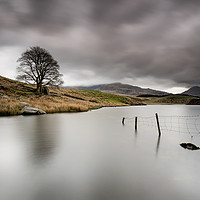 Buy canvas prints of Llyn Dywarchen Fence by Phil Buckle