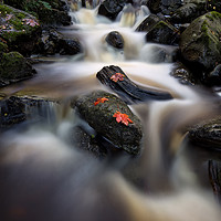 Buy canvas prints of Cat Gill Falls by Phil Buckle