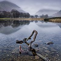 Buy canvas prints of Brothers Water Branch by Phil Buckle