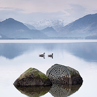 Buy canvas prints of Geese and the Centenary Stones by Phil Buckle