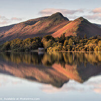 Buy canvas prints of Catbells Morning Light by Phil Buckle