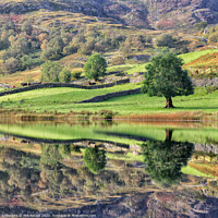 Buy canvas prints of Watendlath Tarn Reflections by Phil Buckle