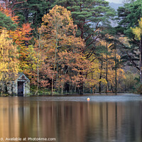 Buy canvas prints of Brandlehow Boathouse by Phil Buckle
