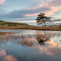 Buy canvas prints of Kelly Hall Tarn Sunset by Phil Buckle