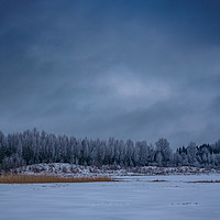Buy canvas prints of Winter blues by Aigar Lusti