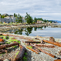 Buy canvas prints of Driftwood logs at Campbell River by Alf Damp