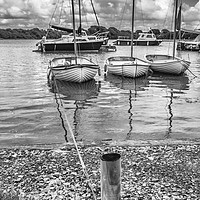 Buy canvas prints of Ready steady sail by Alf Damp