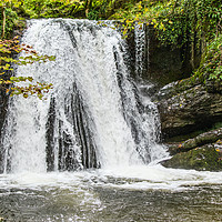 Buy canvas prints of Janet's Foss waterfall by Alf Damp