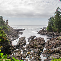 Buy canvas prints of Wild Pacific by Alf Damp