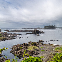 Buy canvas prints of Rugged Pacific Coast at Ucluelet by Alf Damp