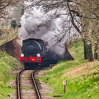 Buy canvas prints of Steaming through the countryside by Alf Damp
