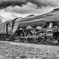 Buy canvas prints of The Historical  Flying Scotsman  by Alf Damp