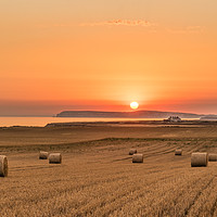 Buy canvas prints of Round straw bales and susnset by Alf Damp