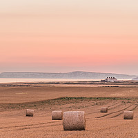 Buy canvas prints of Dusk and round bales by Alf Damp