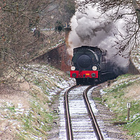 Buy canvas prints of Steaming in the snow by Alf Damp