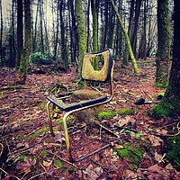 Buy canvas prints of A lost chair in the woods by Helen Wright