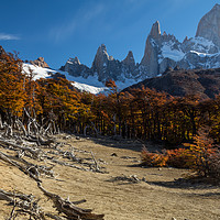 Buy canvas prints of Patagonian Landscape by David O'Brien