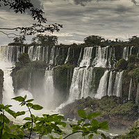 Buy canvas prints of Iguazu Falls by David O'Brien