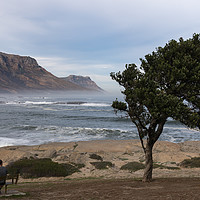 Buy canvas prints of Taking a break, Cape peninsula, South Africa by David O'Brien