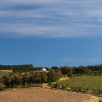 Buy canvas prints of Winery Landscape, Hermanus, South Africa by David O'Brien
