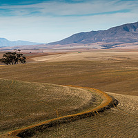 Buy canvas prints of South African Landscape by David O'Brien
