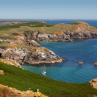 Buy canvas prints of Greater Saltee Island by David O'Brien