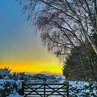 Buy canvas prints of Gate in Winter at Sunset  by Alan Barnes