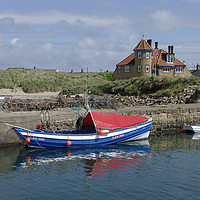 Buy canvas prints of Beadnell Harbour by Alan Barnes
