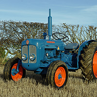 Buy canvas prints of 1962 Fordson Dexta vintage tractor by Alan Barnes