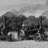 Buy canvas prints of Steam ploughing engines by Alan Barnes