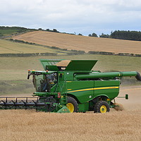Buy canvas prints of Harvest 2020 Northumberland  by Alan Barnes