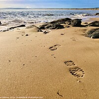 Buy canvas prints of Footprints on Dornoch Beach by Alan Barnes