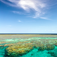 Buy canvas prints of Great Barrier Reef by Graham Williams